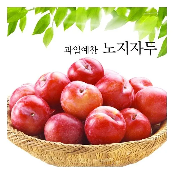 과일예찬 노지 자두, 2kg, 1박스