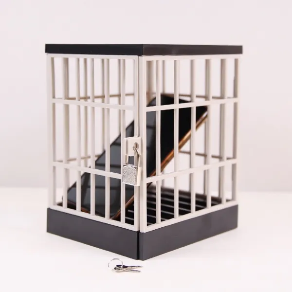 철창 금욕 잠금 상자 [핸드폰 스마트폰 휴대폰 박스 감옥 금고 잠금통 절제상자 중독예방 공시생 선물], 단품