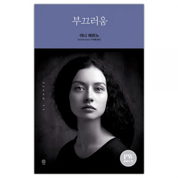 [비채] 부끄러움 (아니 에르노/이재룡) (마스크제공), 단품