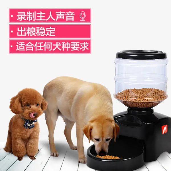 해외 급식기 애완견 자동식기 고양이 일정량 고양이 식량 녹음 가능-22293192438244, 옵션3, 단일옵션