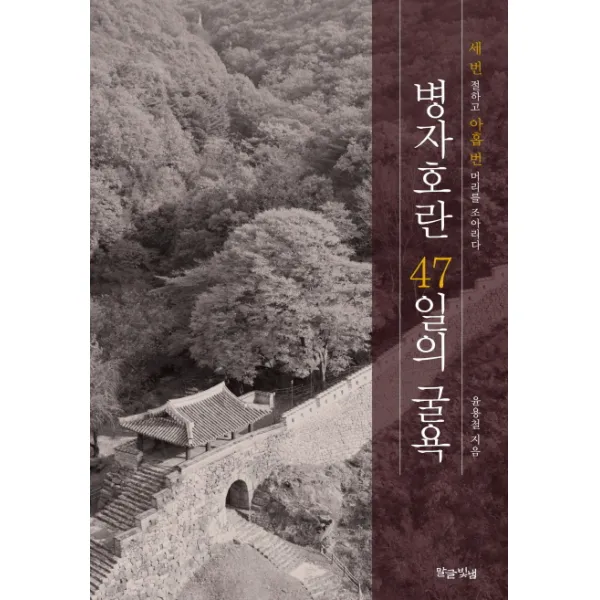 병자호란 47일의 굴욕, 말글빛냄