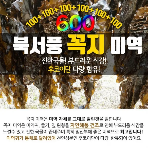 북서풍 꼭지 완도 미역 600g, 옵션없음, 옵션없음