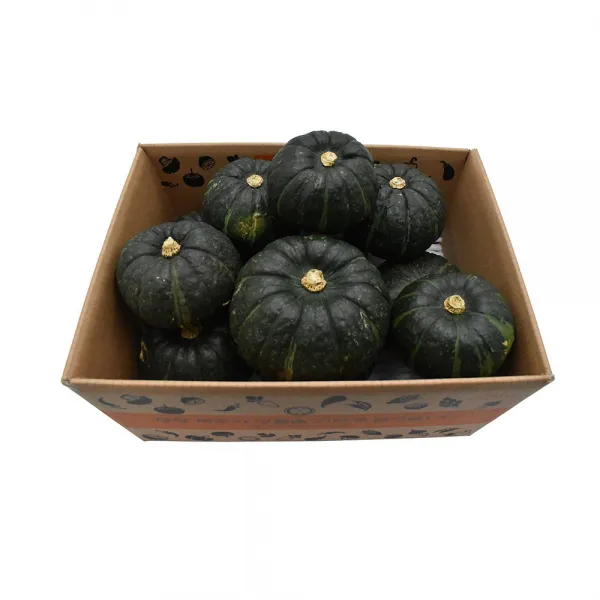 삼다몰 제주 미니밤호박 단호박 보우짱 3kg 5kg 10kg, 1박스, 제주 미니밤호박(단호박) 5kg(11~19개 내외)