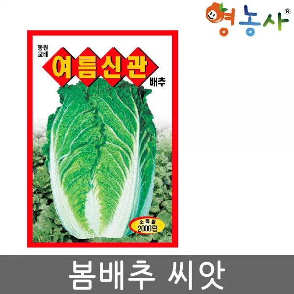여름신관 배추씨앗 2000립- 봄배추씨앗 여름배추씨앗, 여름신관배추