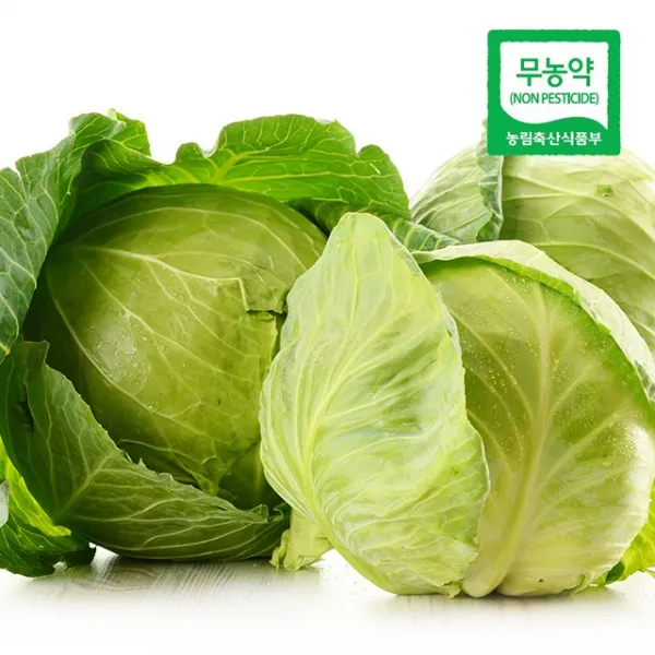 빛고을장터 무농약 양배추 1통 (3kg내외), 무농약 양배추 (3kg내외)