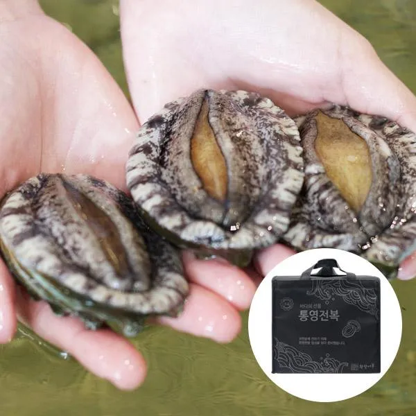 착한어부 [착한어부] 통영 앞바다 전복 선물세트 1kg 17-18미, 1