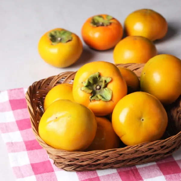 [진영단감]진영단감 가정용(흠과)10kg/중소과,59-80과 내외, 단품, 10kg