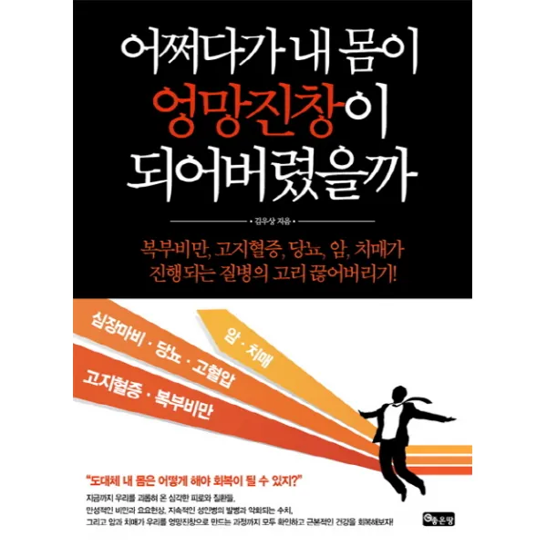 어쩌다가 내 몸이 엉망진창이 되어버렸을까:복부비만 고지혈증 당뇨 암 치매가 진행되는 질병의 고리 끊어버리기, 좋은땅