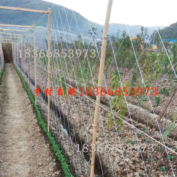 오이망 참외참외채과오이두각 동부두백향과전용망식물등심망재배-33079, 단일옵션, 01.1.8×50m 3주[산약만 적