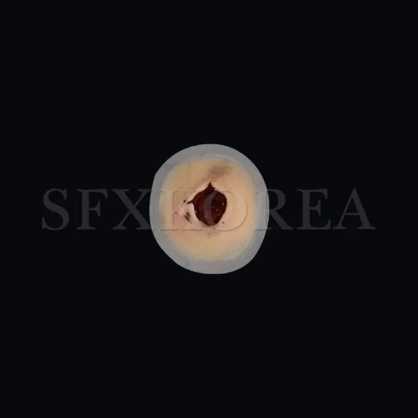 SFX.자가점착 외상피부 병원 경찰 군부대 응급처치 훈련교재, 20.SFX.외상피부_총상_사입구(접촉형)
