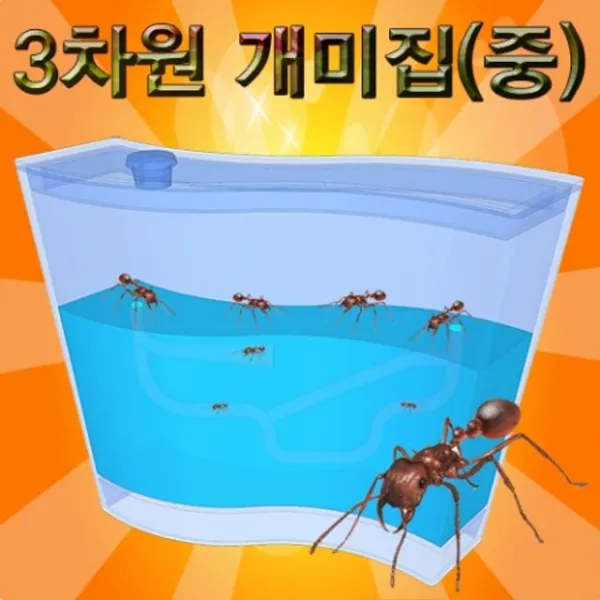 3차원 개미집 중사이즈 Ks2+5i527cm