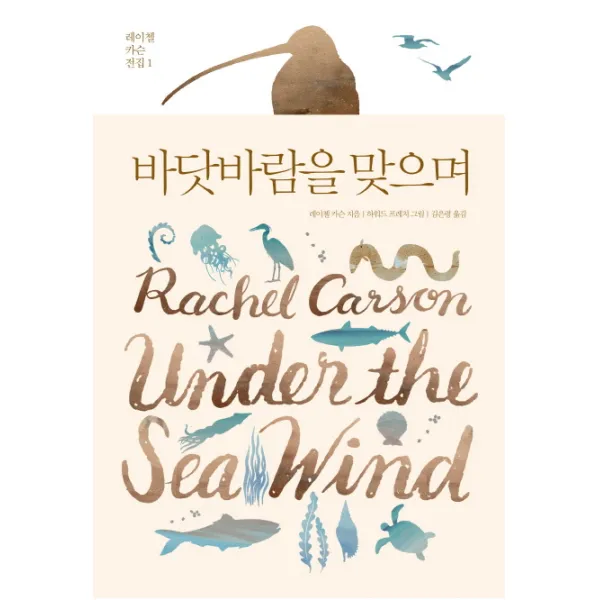 바닷바람을 맞으며, 에코리브르