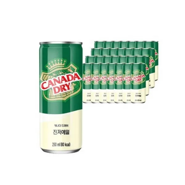 캐나다드라이 진저에일, 250ml, 24개