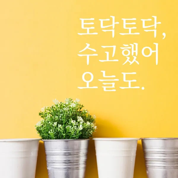 데이플레인 감성문구 레터링 인테리어 스티커 [03수고했어오늘도], 화이트
