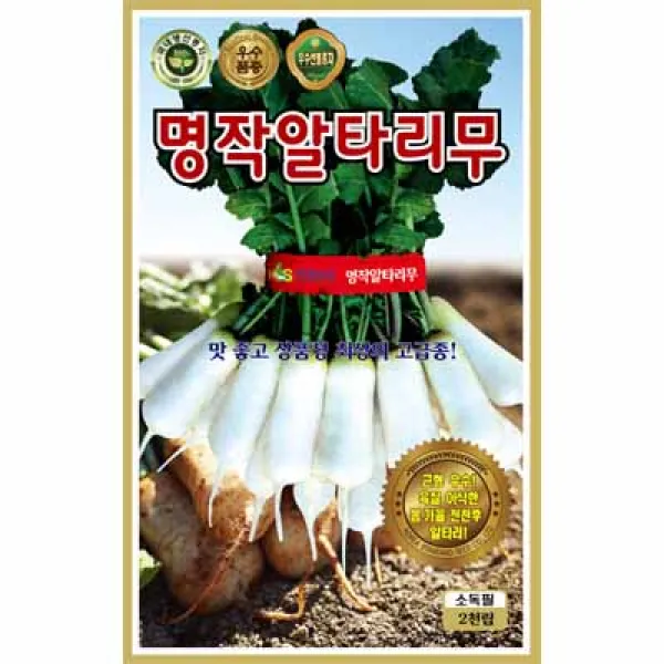 [농사넷] 국내생산종자 근형우수하고 육질 아삭한 봄 가을 전천후 알타리 씨앗 명작알타리무 2000립, 1개