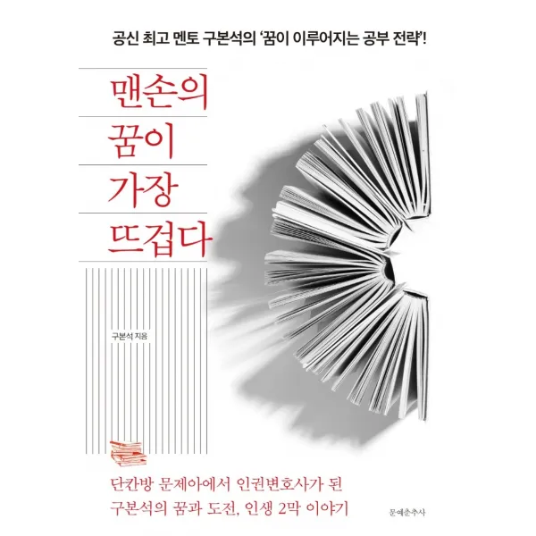 맨손의 꿈이 가장 뜨겁다:단칸방 문제아에서 인권변호사가 된 구본석의 꿈과 도전 인생 2막 이야기, 문예춘추사, 구본석