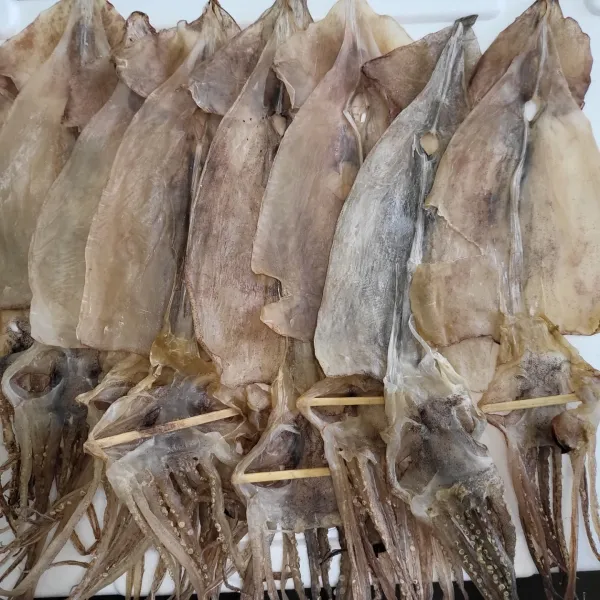 건조오징어 파품 1kg, 마른오징어파품 1kg