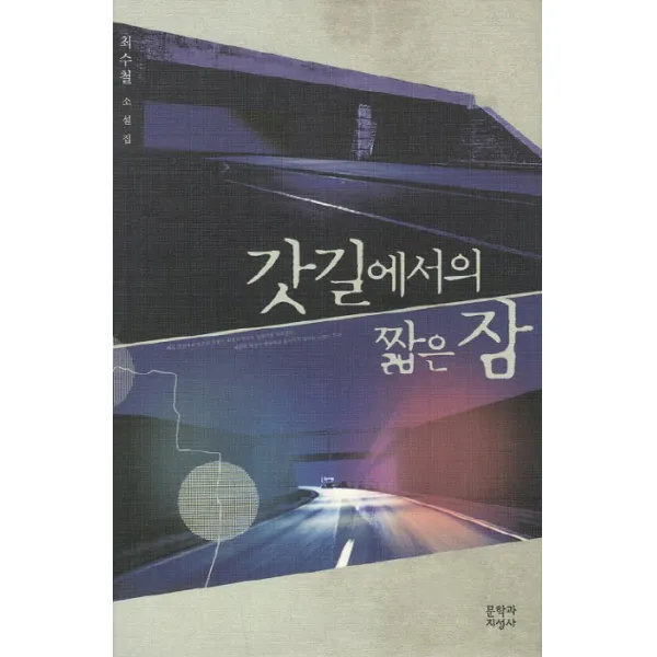 갓길에서의 짧은 잠:최수철 소설집, 문학과지성사
