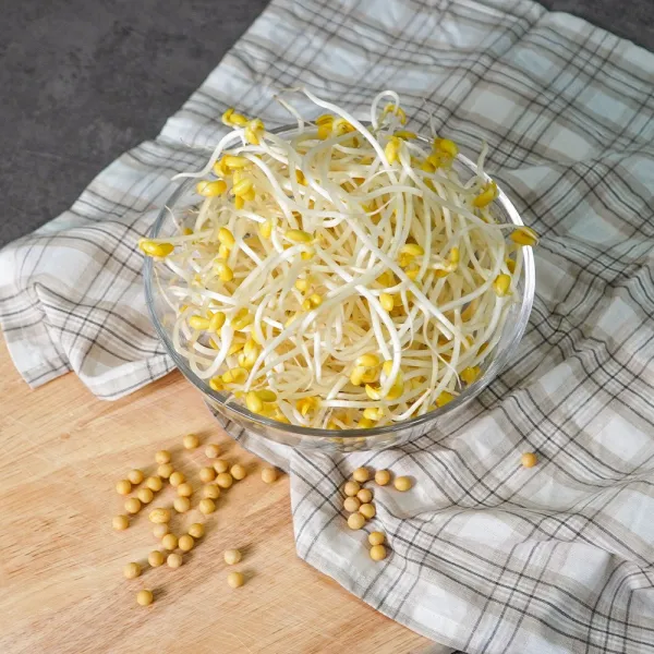[생산자 직송] 천연 암반수로 키운 튼실한 콩나물 1kg 2kg 4kg 박스, 2kg