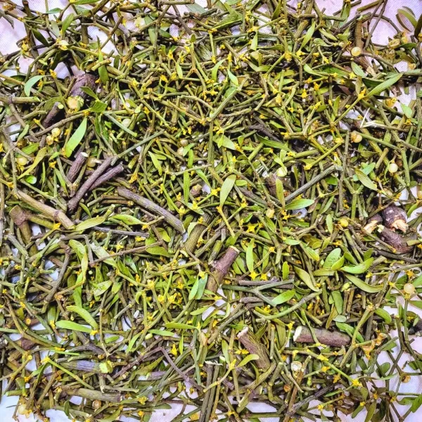 지리산뱀사골 자연산 말린 겨우살이 겨울살이 겨우사리 300g, 겨우살이 300g