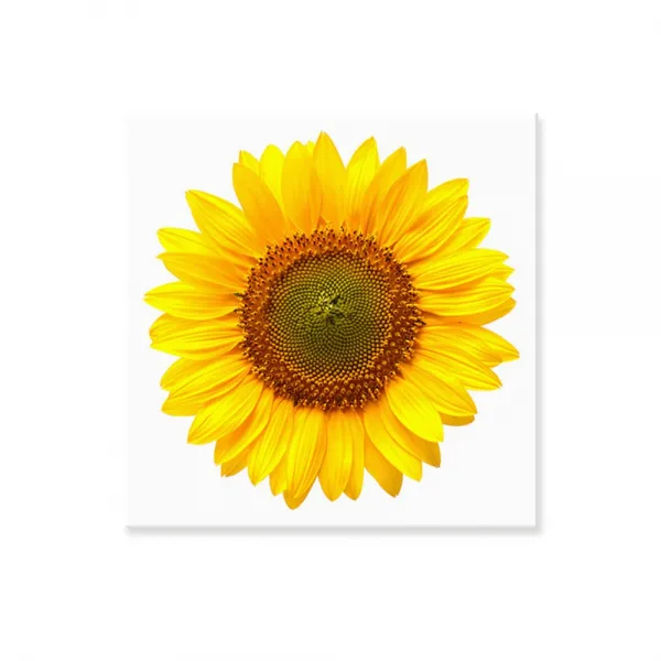 공간상회 해바라기 그림 돈들어오는 황금 해바라기 액자, 행복바라기