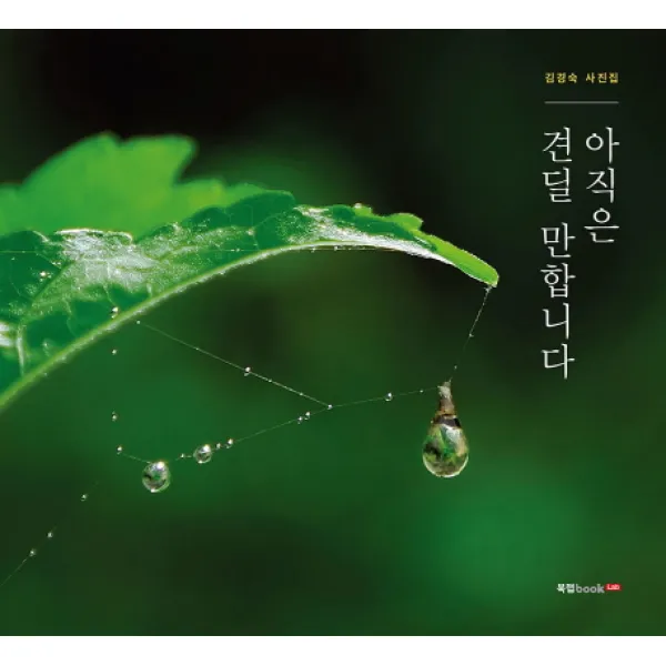 아직은 견딜 만합니다:김경숙 사진집, 북랩