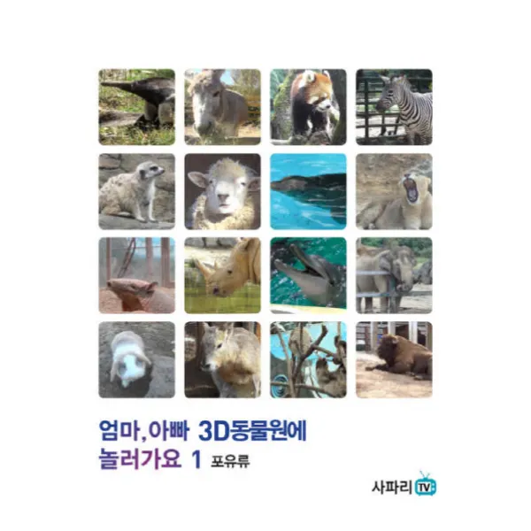 엄마 아빠 3D 동물원에 놀러가요. 1:포유류, 사파리TV