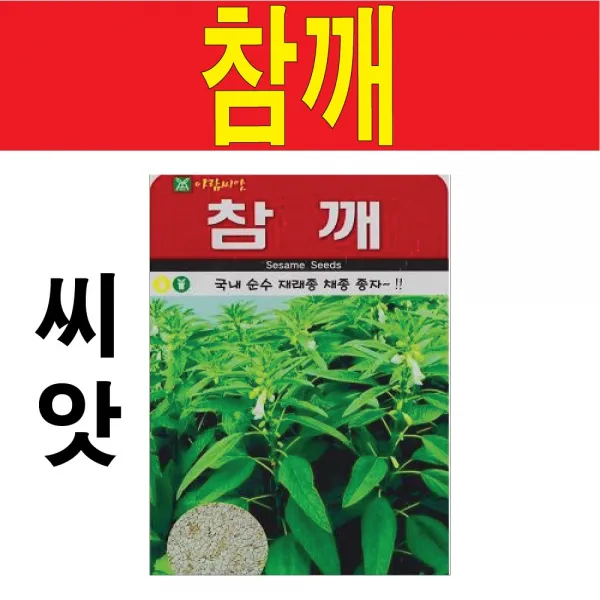 참깨씨앗 1000알 깨씨앗 참깨 흰깨 깨 씨앗