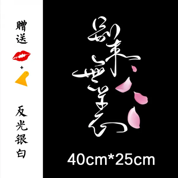 차량용스티커 문예 차량스티커 아이디어 개성 뒷유리 차량장식 반사광선 종이, T22-별고(반사광선 실버화이트)40CM