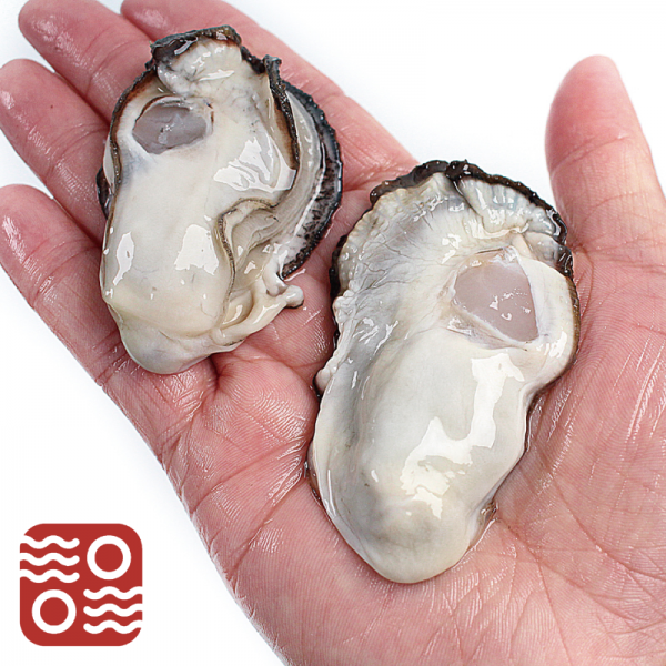 통수산 최상급 통영생굴, 생굴1kg(가열조리용)