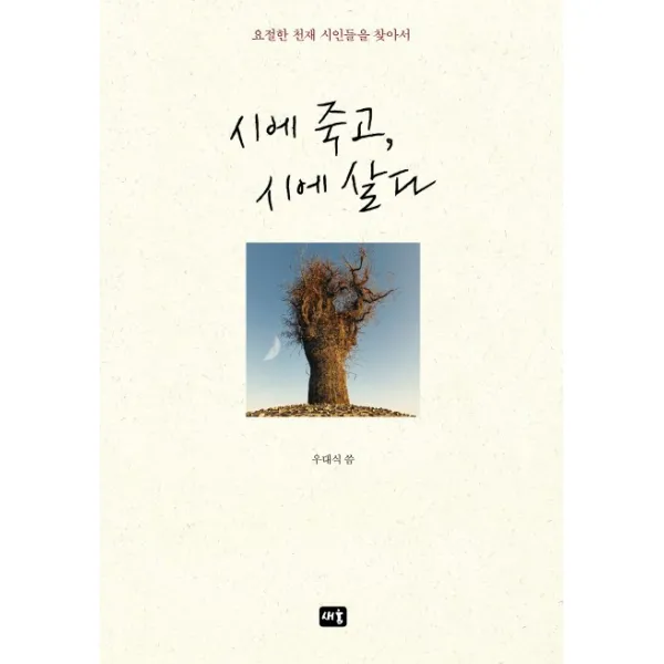 시에 죽고 시에 살다:요절한 천재 시인들을 찾아서, 새움