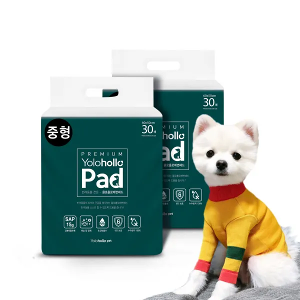 [욜로홀로] 강아지배변패드 중형 60X50cm 30매 2팩 (60매), 단품