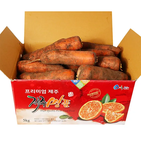 [흑토농원] 제주 구좌 흙당근, 3kg(대과) /2개 주문시 7kg 발송