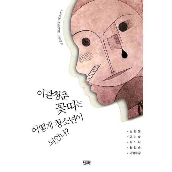 이팔청춘 꽃띠는 어떻게 청소년이 되었나:청소년 만들기와 길들이기, 인물과사상사