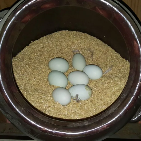 지리산농장 청란 오골계란 혼합란(청란 반 오골계란 반 ), 60구