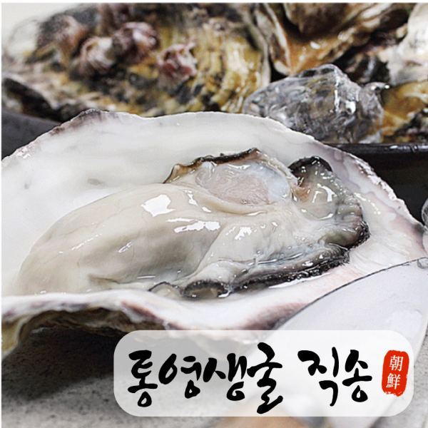 내고향농수산 통영 생굴 석화 굴 석굴 자연산 하프셀 김장용 횟감 봉지굴 찜 구이용 홍 가리비 산지직송 1kg 2kg 5kg 10kg, 04.하프셀 28~30미
