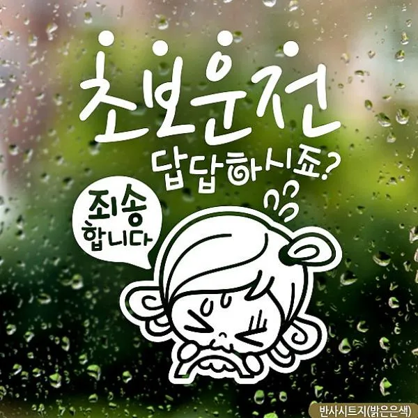 스포츠윙 초보답답 초순이 초보운전스티커-반사 차량용 스티커
