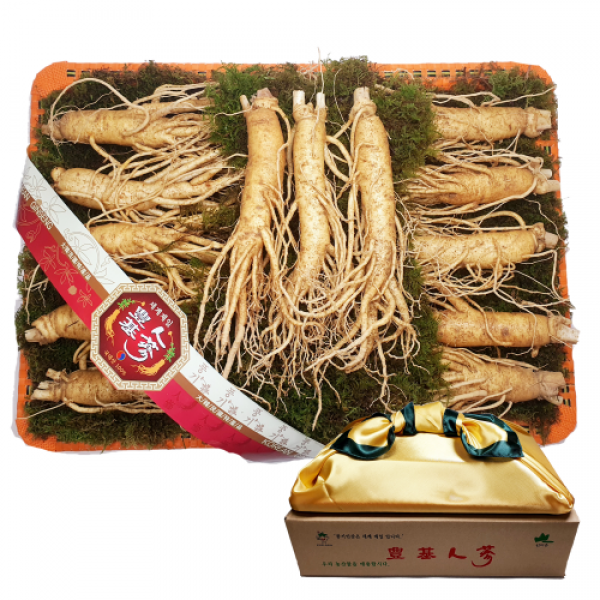 대한인삼사 인삼선물세트 풍기인삼 750g 풍기인삼 16~20뿌리 750g