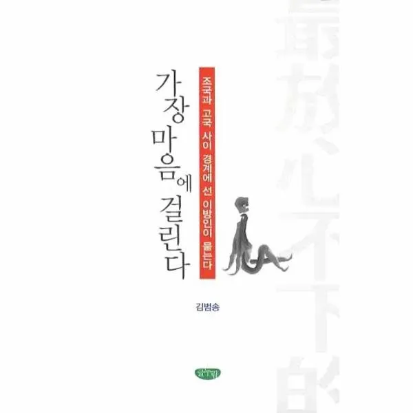이노플리아 가장 마음에 걸린다 조국과 고국 사이 경계에선, One color | One Size@1