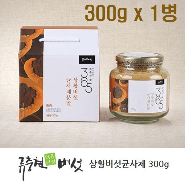 제주도 상황버섯분말가루 상황 버섯 분말 가루 상황버섯 국산 목질진흙버섯 균사체 뽕나무 말굽 차 물 진액 파우더 베타글루칸 린테우스 효능 200g, 1병