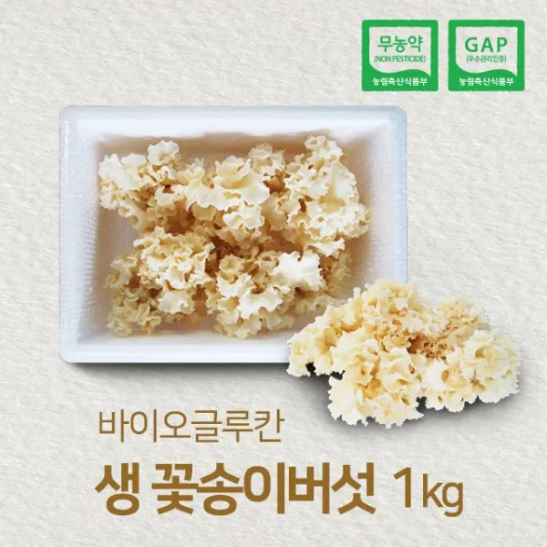 바이오글루칸 국내산 무농약 생꽃송이버섯 1kg 주문당일 수확 1박스