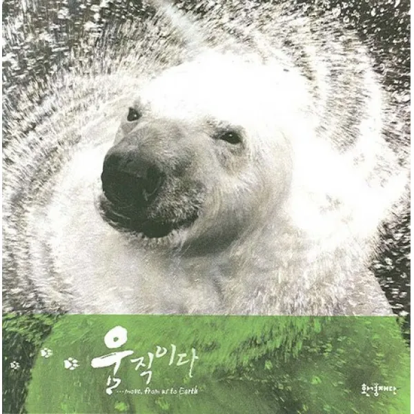 움직이다, 도요새