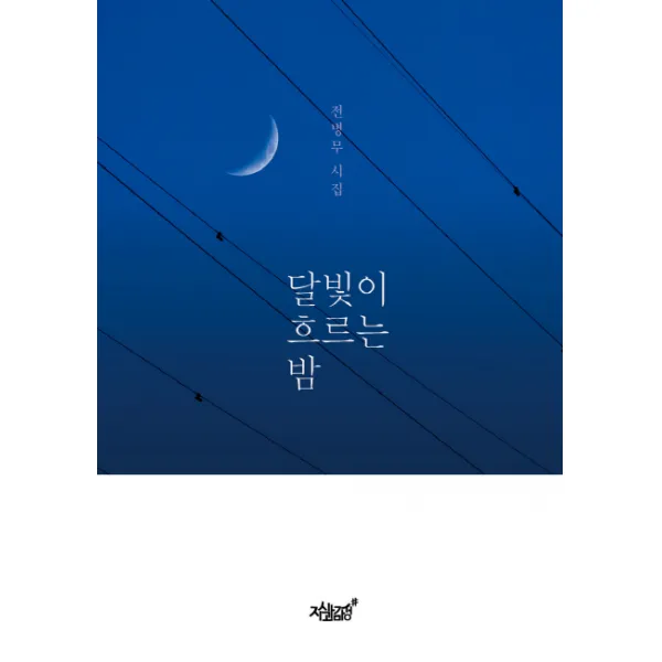 달빛이 흐르는 밤:전병무 시집, 지식과감성