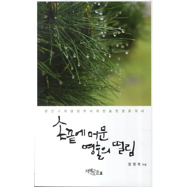 손끝에 머문 영혼의 떨림:광안교회 담임목사의 진솔한 영혼의 시, 지혜로운