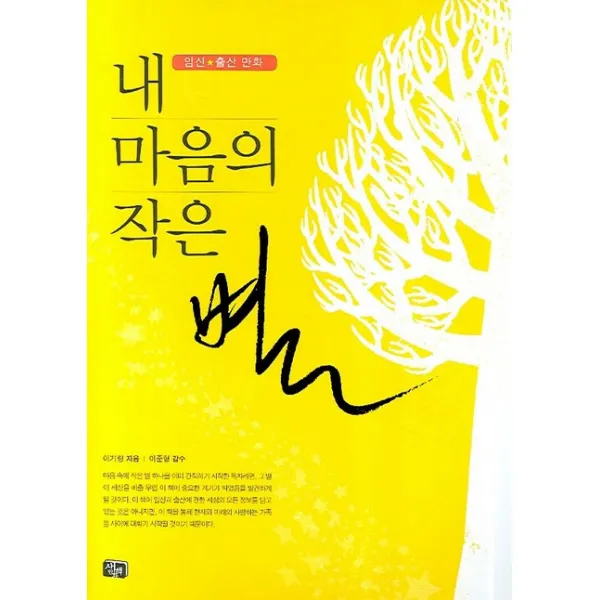 내 마음의 작은별, 새만화책