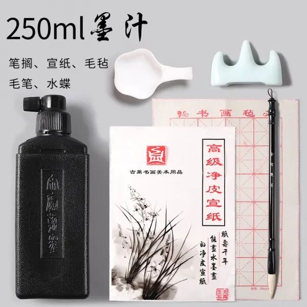 먹물 잉크 100g작은병 초보자 펜 동양화 250g중병 학생 세트 용품 차이나 회화 필묵 물 500g빅사이즈 서예 전용, T05-먹물 250그램 트(털방석+화선지+펜꽂이+붓+물접시)