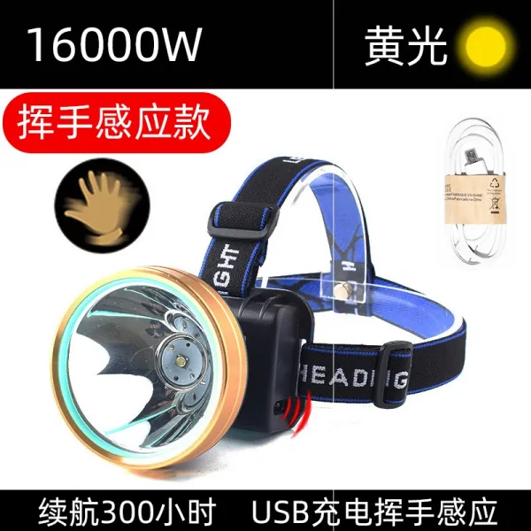 숏 전기와 동질 파워 LED 감응 광석 등 밤낚시 물고기, 1600W 엘로 반들 항속 300 시
