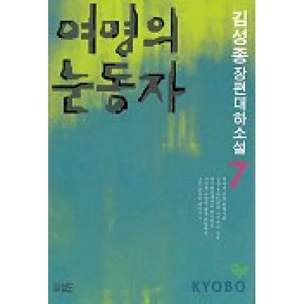 여명의 눈동자 7, 남도