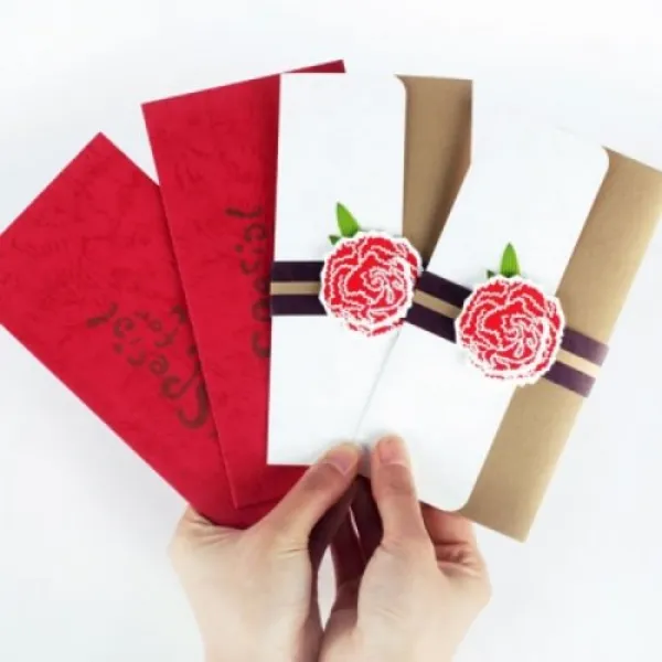 [텐바이텐] 카네이션 MONEY ENVELOPE SET(돈봉투)