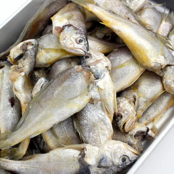 무료배송 반값 굴비 못난이 파굴비 20마리 중량 1.5kg 국산 참조기 파조기